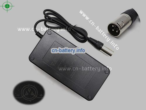 Dpower Laptop AC Aapter 54.6V 2.0A